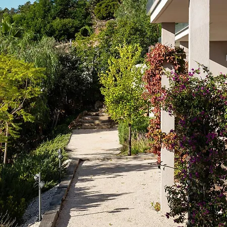 فيلة La Croix Du Sud *