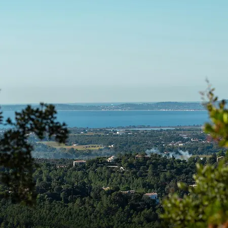 La Croix Du Sud *